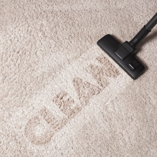Carpet cleaning in Hutchinson, MN