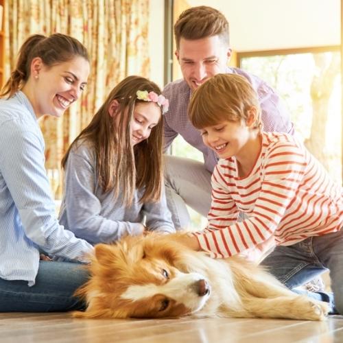 family-with-pets-02 family-with-pets-02
